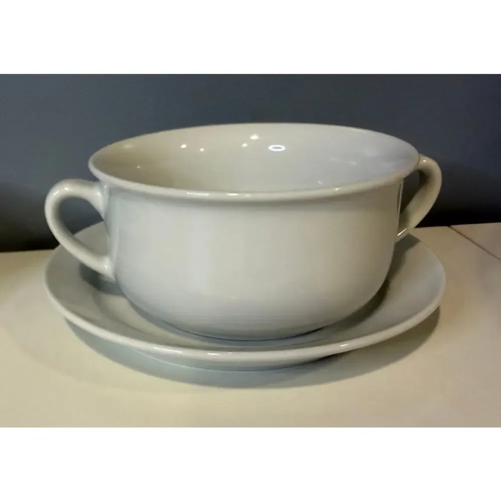 Williams Sonoma Soup Bowl and Plate - Set of 2